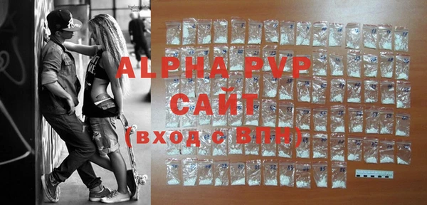PSILOCYBIN Осташков